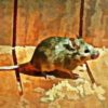 Как избавиться от мышей гуманно и заставить их забыть дорогу в дом