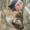 Волчица пришла просить еду и лесник ее пожалел. Через два месяца к деревне пришли 3 волка и поблагодарили человека