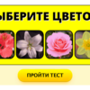 Тест: из какой вы эпохи? Узнайте!