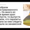 Эти люди не хотели котов, но усатые морды решили иначе