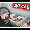 Его поразило то, что в детдоме все младенцы в кроватках молчат. Когда няня назвала причину он...