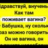 Бабушка звонит внучке + Сборник Свежих Смешных Анекдотов